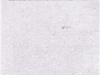 fiche-dinscription-2-001