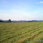 Halberbracht - Vue de l'emplacement du Sportplatz où était installé le Lager n° 637